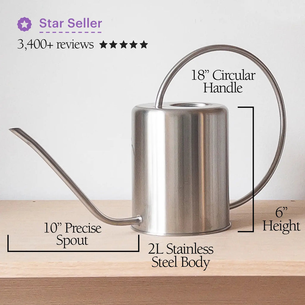 Kanso - 2L Stainless Steel Watering Can